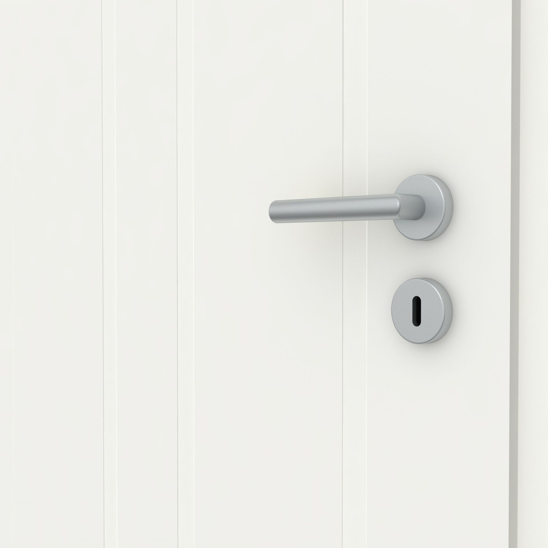 Novara 2G AD2 - Moderne weiße Stiltüren - jetzt informieren | LOBO HOME